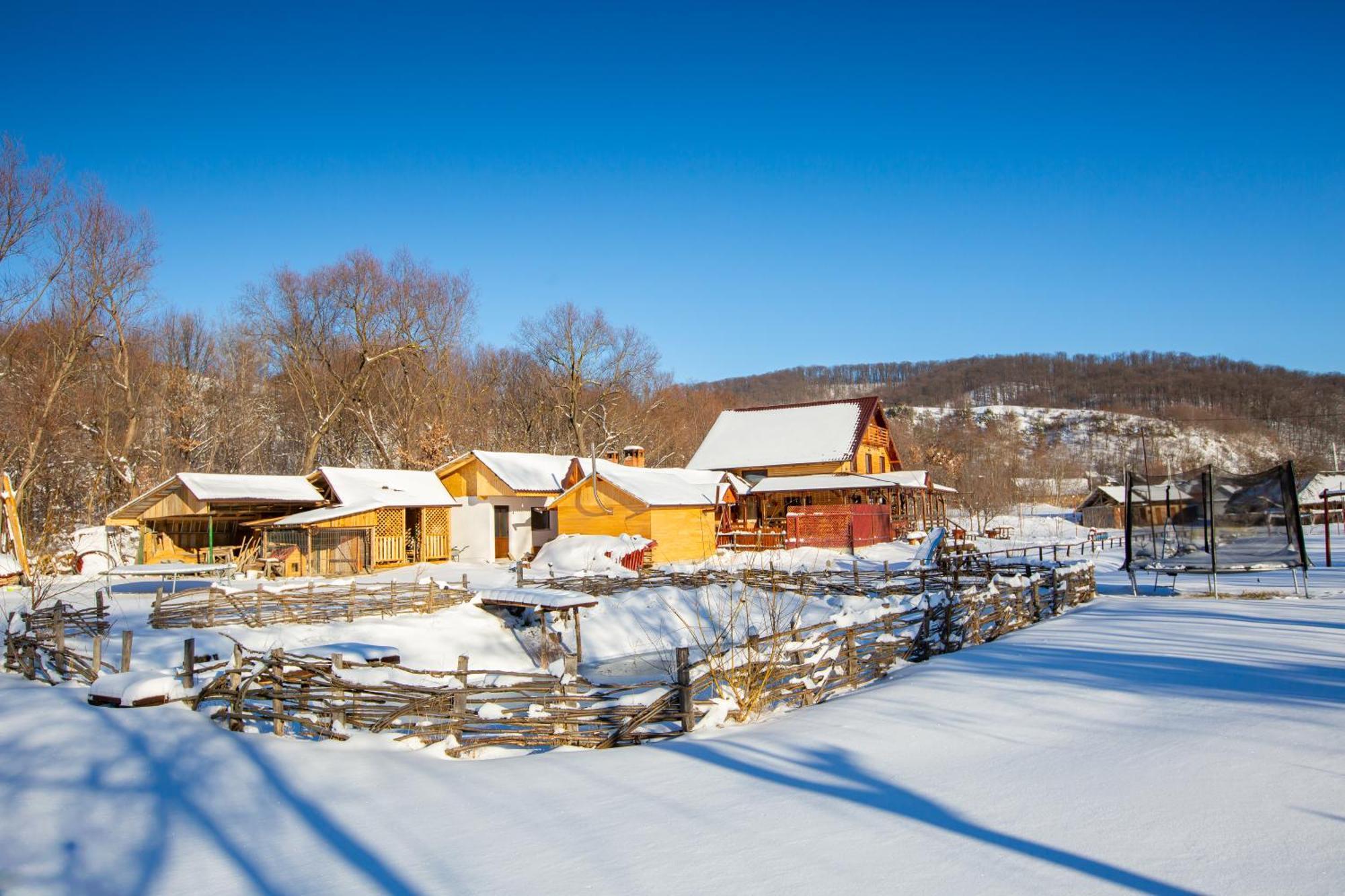 Cabana Lunca Târgu Neamţ Exterior foto