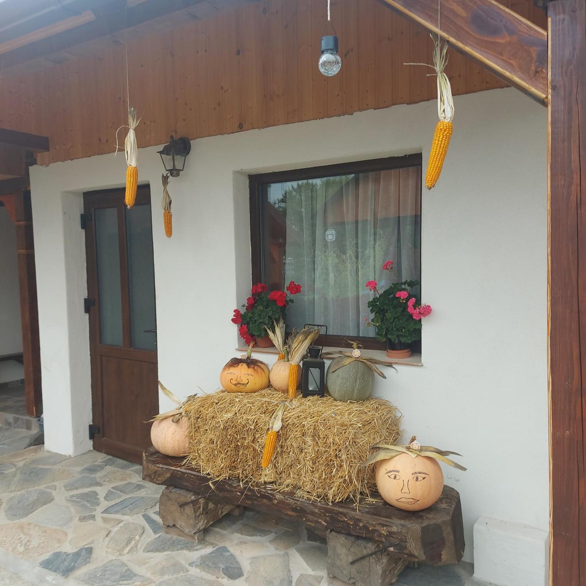 Cabana Lunca Târgu Neamţ Exterior foto